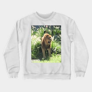 Lion Crewneck Sweatshirt